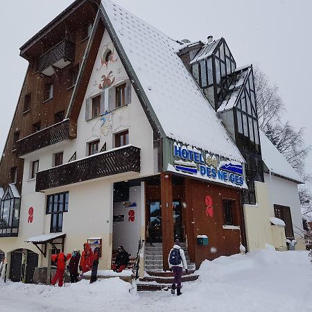 Hotel Des Neiges เลส์เดอซาลป์ ภายนอก รูปภาพ